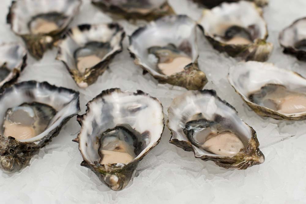 Comment bien conserver les huîtres ? – L'Huîtrerie